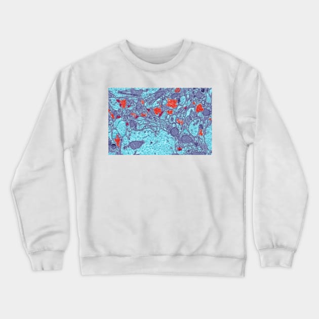 Brain synapses, TEM (C013/2338) Crewneck Sweatshirt by SciencePhoto